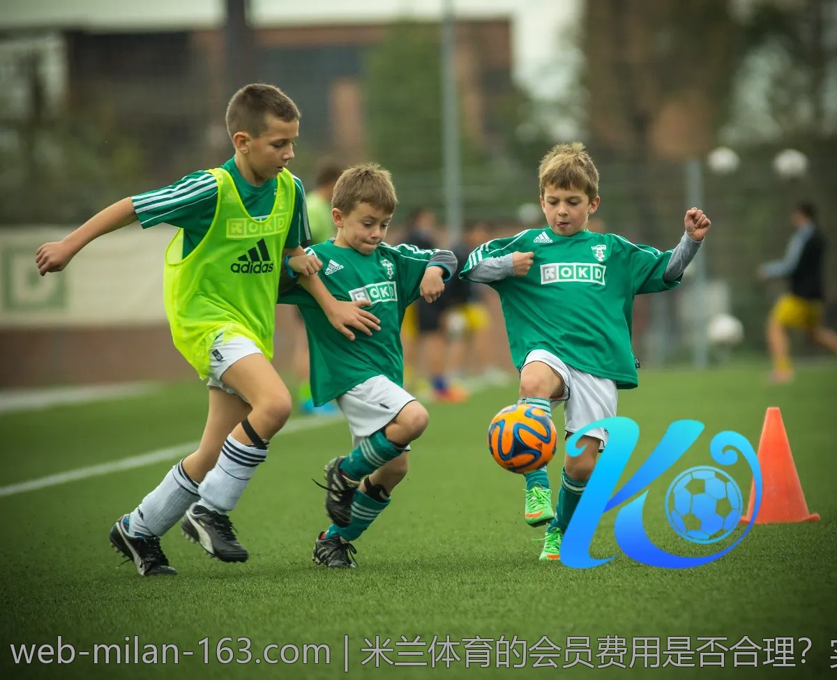 米兰体育的会员费用是否合理?实际体验分享