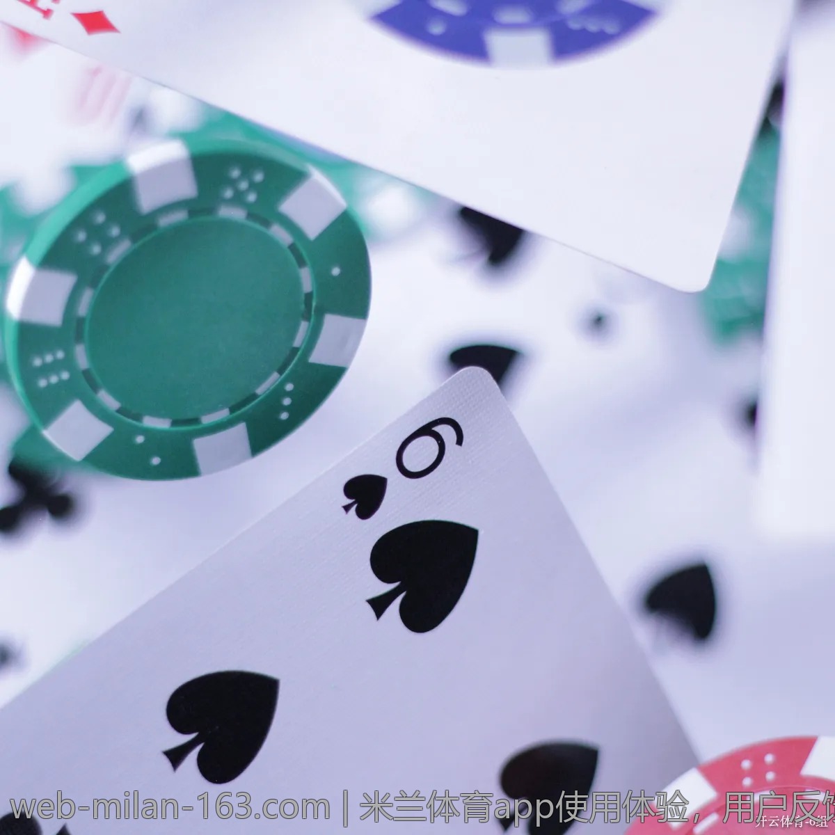 米兰体育app使用体验,用户反馈和真实评价